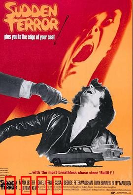 小英雄与大刺客：侠义对决