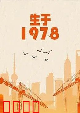 生于1978：时代洪流中的奋斗