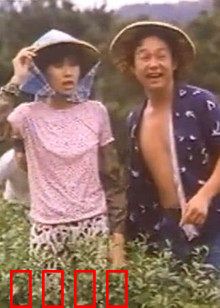 小美我爱你：沉默的告白
