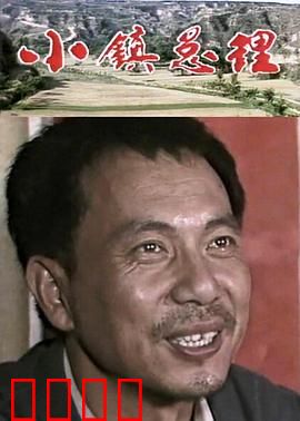 小镇总理：逆袭之路