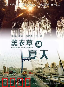 薰衣草和夏天：花海里的承诺