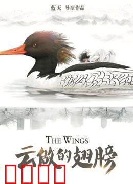 云做的翅膀：失落的战机