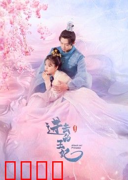 进击的王妃：逆袭后位