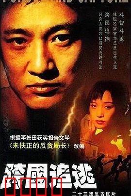 跨国追逃：千里缉凶