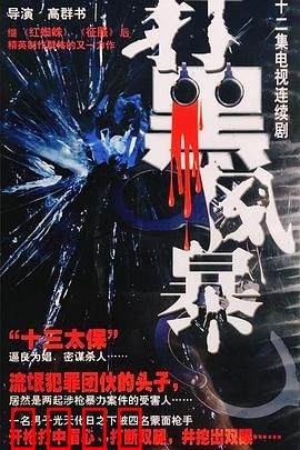 打黑风暴：正义回响