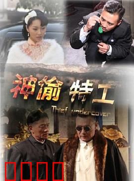 神偷特工：窃取未来