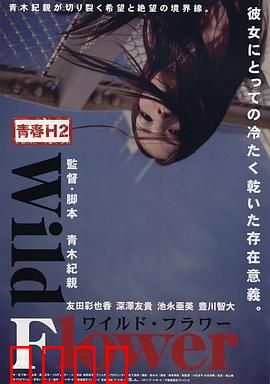 青春H2之狂野之花：狂放不羁