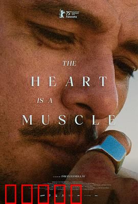 心如肌理：表面之下的真相