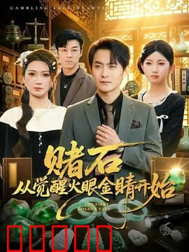 赌石从觉醒火眼金睛开始：神眼破局