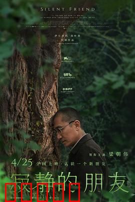 寂静的朋友：无声的恐惧