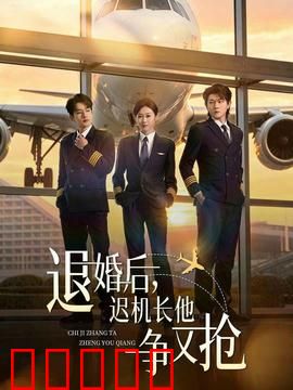 退婚后，迟机长他争又抢：霸总追妻甜宠