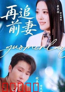 再追前妻：疯狂追妻路
